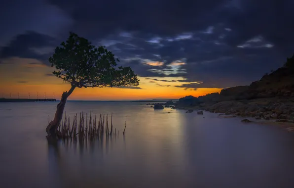 Picture clouds, trees, Indonesia, glow, the island of Lombok, Awang Beach