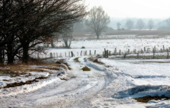 Winter, road, field, morning