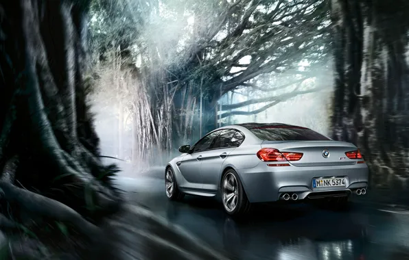 Picture BMW, Coupe, Gran Coupe, Tuning, Road, Motion, Trees, Forrest