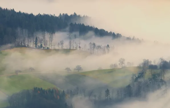 Picture mountains, fog, morning, Switzerland, Elevation of Vogelberg, Mümliswil-Ramiswil