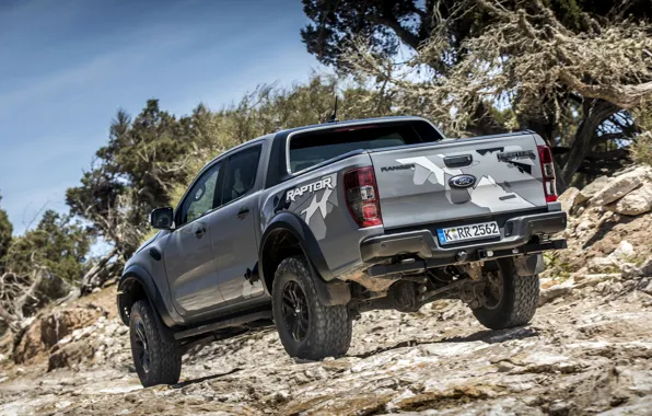 Stones, grey, vegetation, Ford, body, Raptor, pickup, suspension