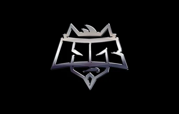 Games, team, cs:go, pro, hellraisers, pro team