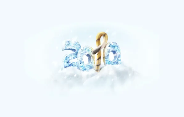 New year, tail, 2010