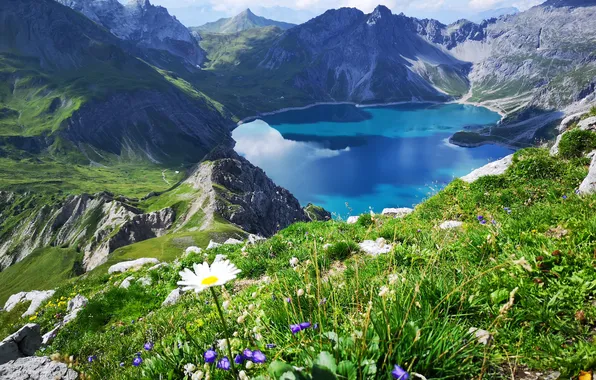 The sky, grass, the sun, flowers, mountains, lake, rocks, Daisy