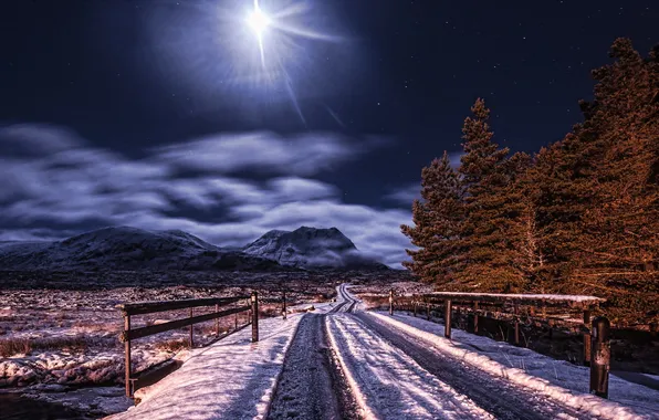 Winter, road, night