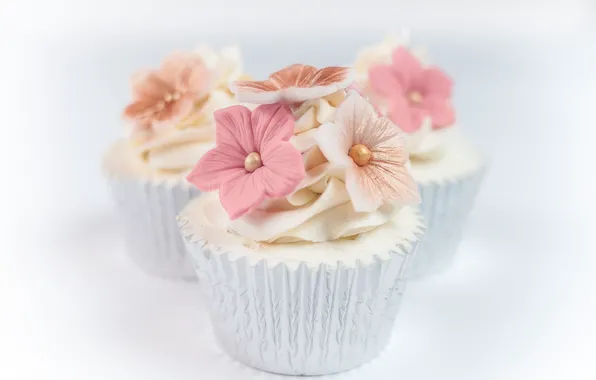 Food, decoration, cream, sweet, cupcakes