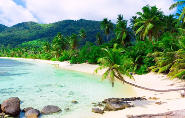 Sand, sea, beach, clouds, landscape, tropics, palm trees, island