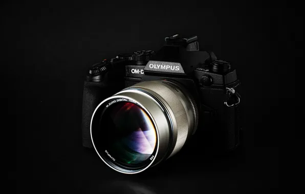 Macro, camera, Olympus OM-D E-M1