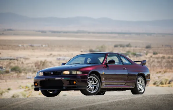 Nissan, GT-R, Skyline, R33, Nissan Skyline GT-R, front view