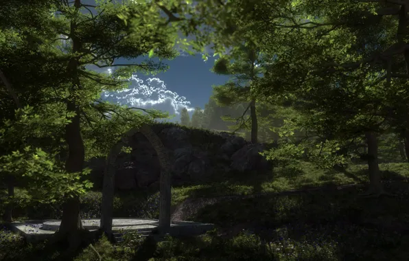 Forest, arch, The Arch