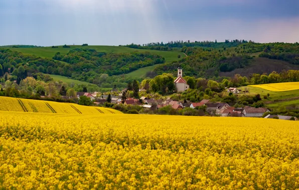 Flowers, houses, settlement, rape, rapeseed field