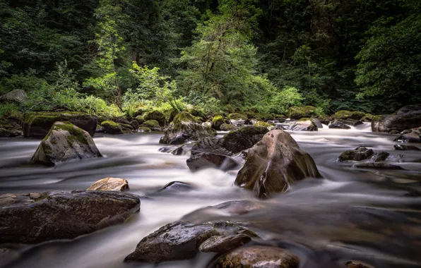 Picture forest, stones, Scotland, river, Scotland, Inver