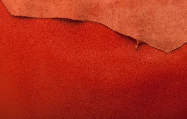 Leather, red, texture, background, leather