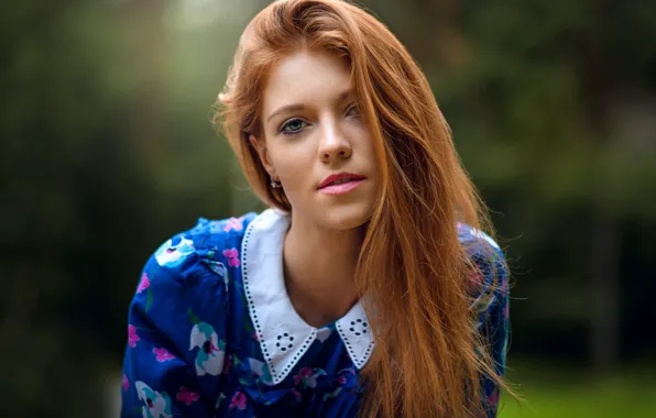 Picture sponge, the beauty, redhead