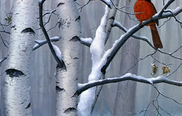 Winter, forest, snow, branches, red, nature, tree, bird