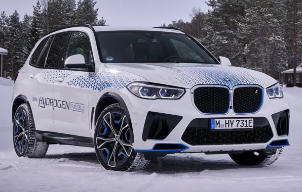 Hydrogen, 2022, BMW iX5, hydrogen crossover