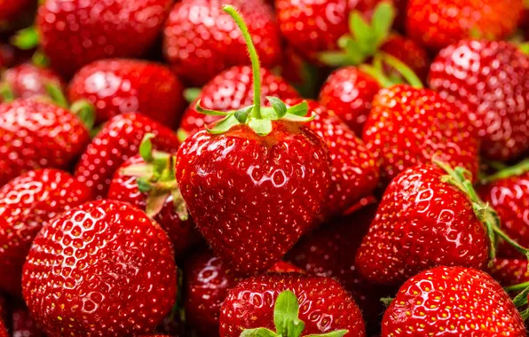 Berries, background, strawberry, strawberry, fresh berries