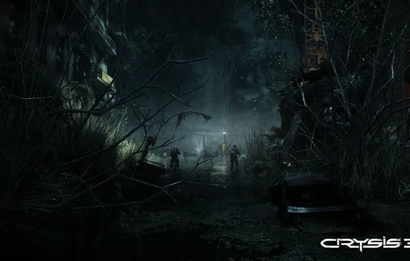 Light, night, branches, the city, swamp, soldiers, the ruins, the bushes