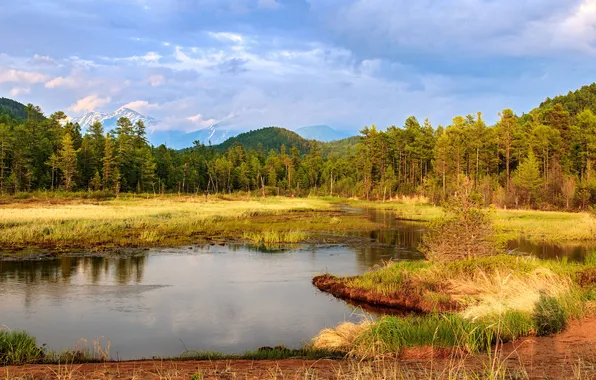 Forest, clouds, trees, mountains, horizon, pond, the beauty of nature, picturesque landscape