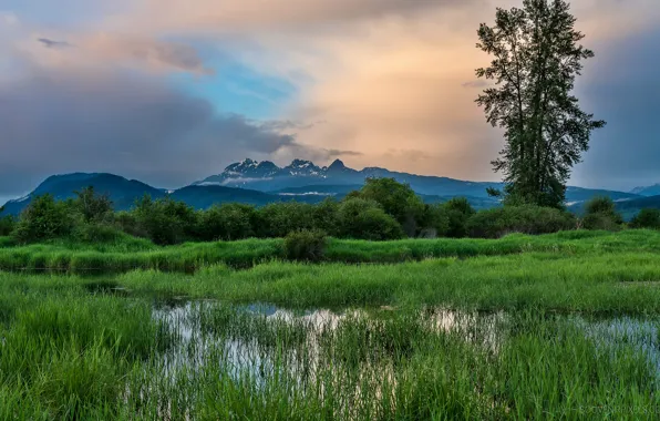 Picture the sky, grass, clouds, trees, mountains, lake, meadow, Canada