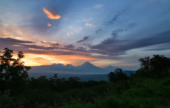 The sky, trees, sunset, mountains, nature, Maxine Alexander