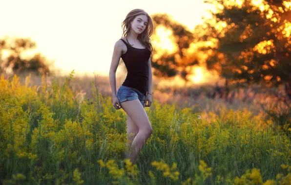 Picture grass, look, the sun, trees, sexy, pose, model, shorts
