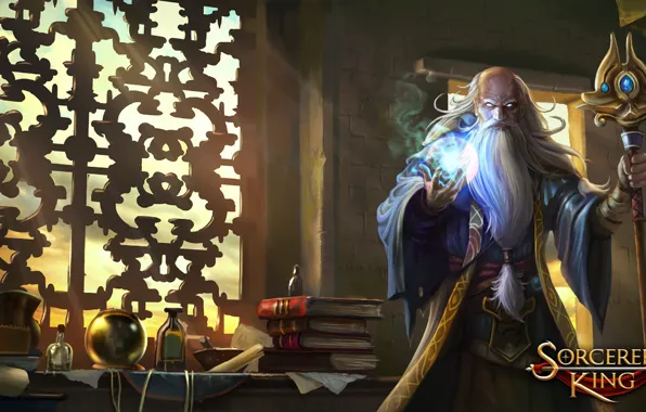 Books, ball, staff, the sorcerer, Sorcerer King
