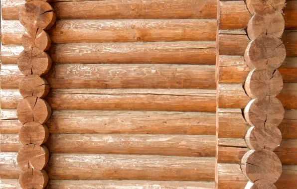 Background, widescreen, Wallpaper, texture, wallpaper, log, widescreen, background