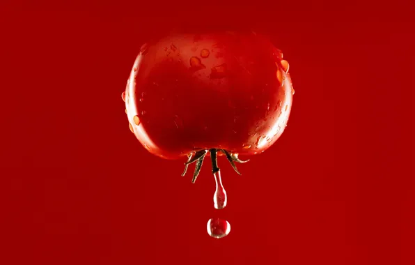 Water, drop, food, tomato, tomato