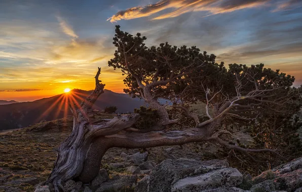 The sky, the sun, clouds, rays, sunset, mountains, stones, tree