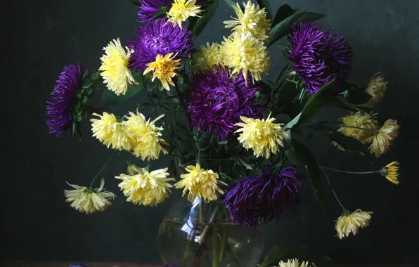 Bouquet, plum, asters