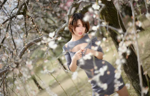 Picture girl, trees, face, dress, Asian