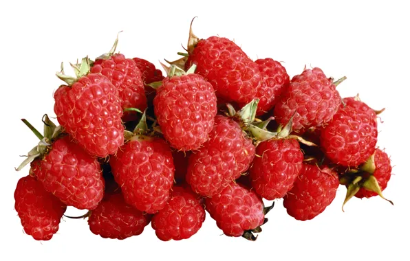 Picture berries, raspberry, treat