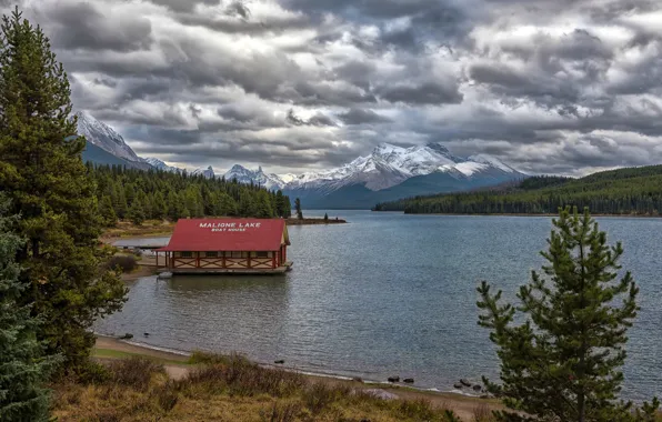 Forest, the sky, clouds, trees, mountains, lake, shore, Canada