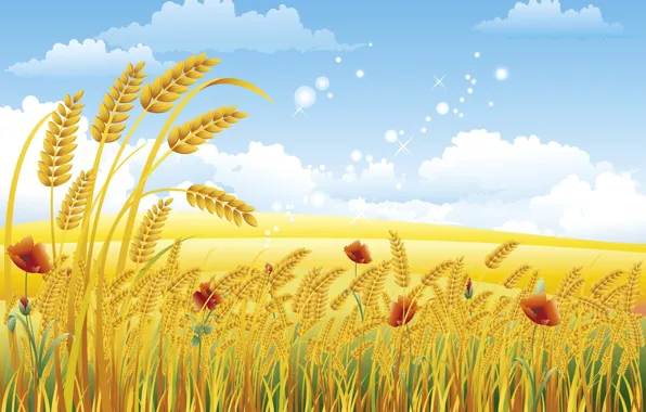 Picture wheat, summer, clouds, Maki