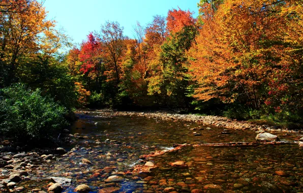 Picture forest, Autumn, Stones, Fall, River, autumn, Colors, River