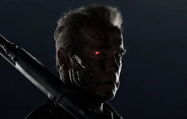 Picture Action, Red, Gun, Darkness, Robot, Wallpaper, Weapon, Arnold Schwarzenegger