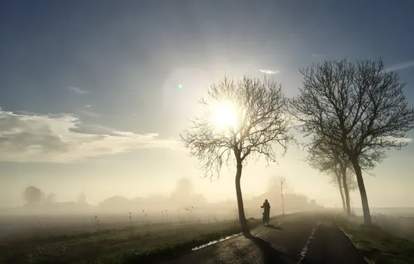 Picture road, light, bike, fog, morning