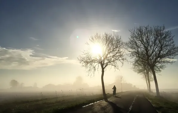 Road, light, bike, fog, morning