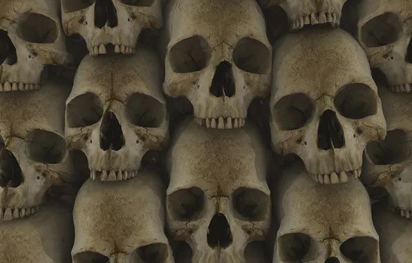 Skull, texture, sake