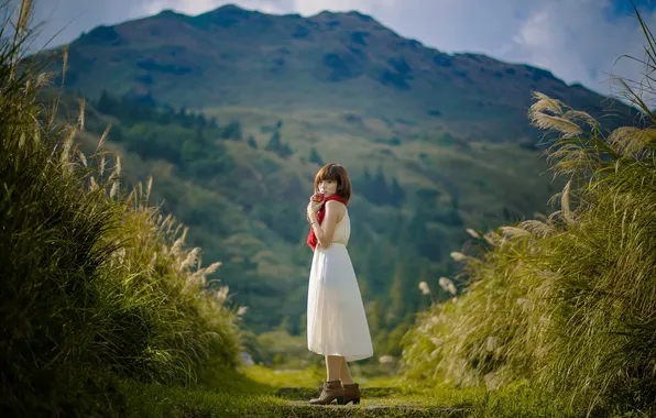 Field, summer, girl