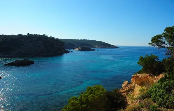 Trees, landscape, the ocean, island