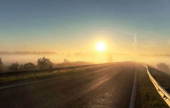 Road, landscape, morning