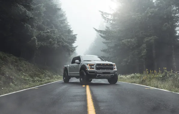 Ford, Raptor, pickup, F-150, 2019, by Aaron Brimhall