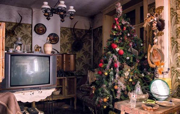 Room, holiday, tree, TV