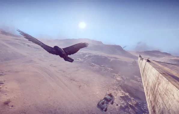 The sun, Bird, Desert, Mad Max, Mad Max