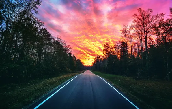 Picture road, forest, sunset