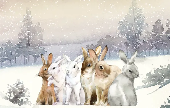 Winter, forest, the sky, snow, nature, together, figure, hare