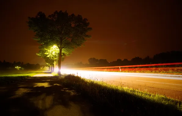 Road, the sky, trees, movement
