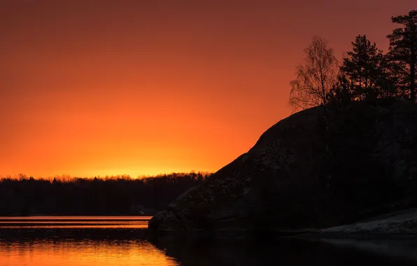 Forest, trees, rock, lake, glow